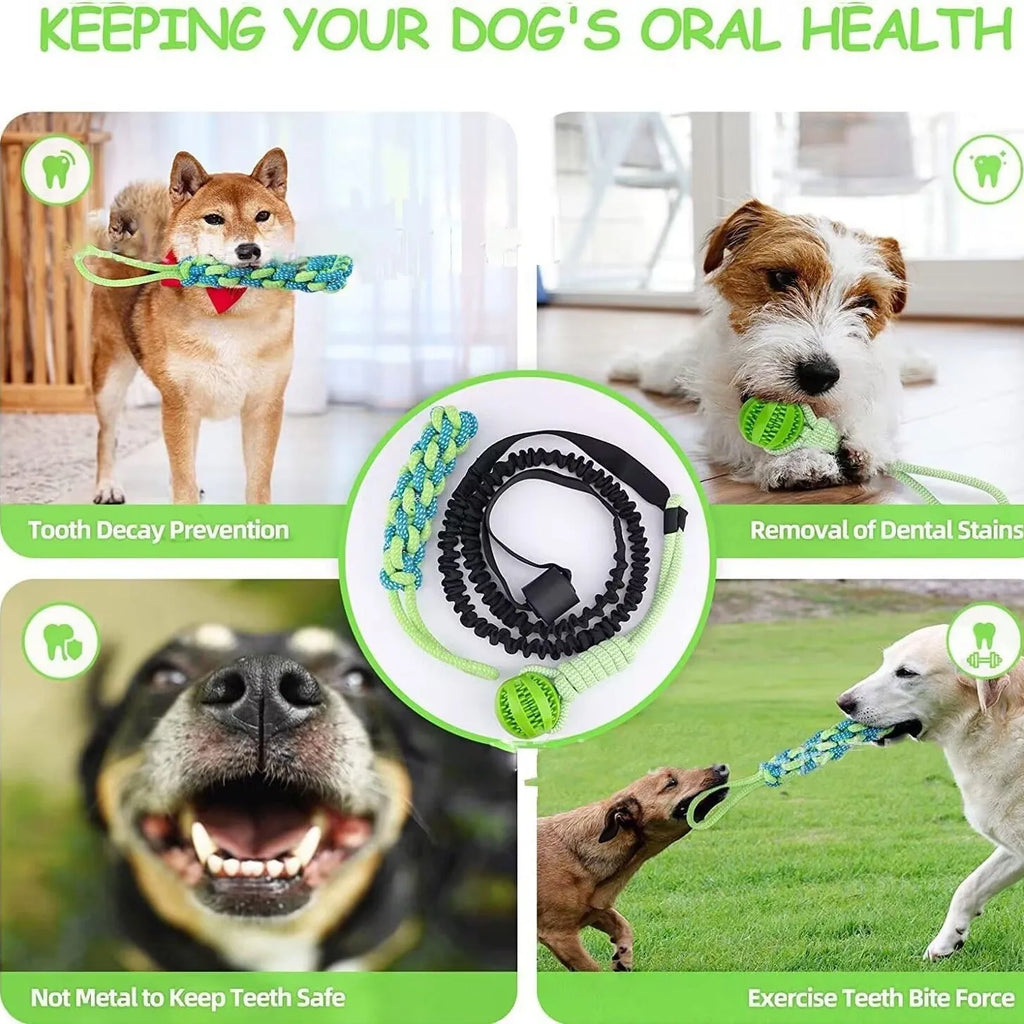 Green cotton rope dog tug toy with a knotted ball handle on a white background.
