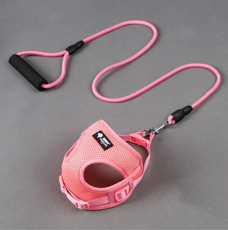 Blue adjustable dog leash and collar set with foam handle for a small dog.