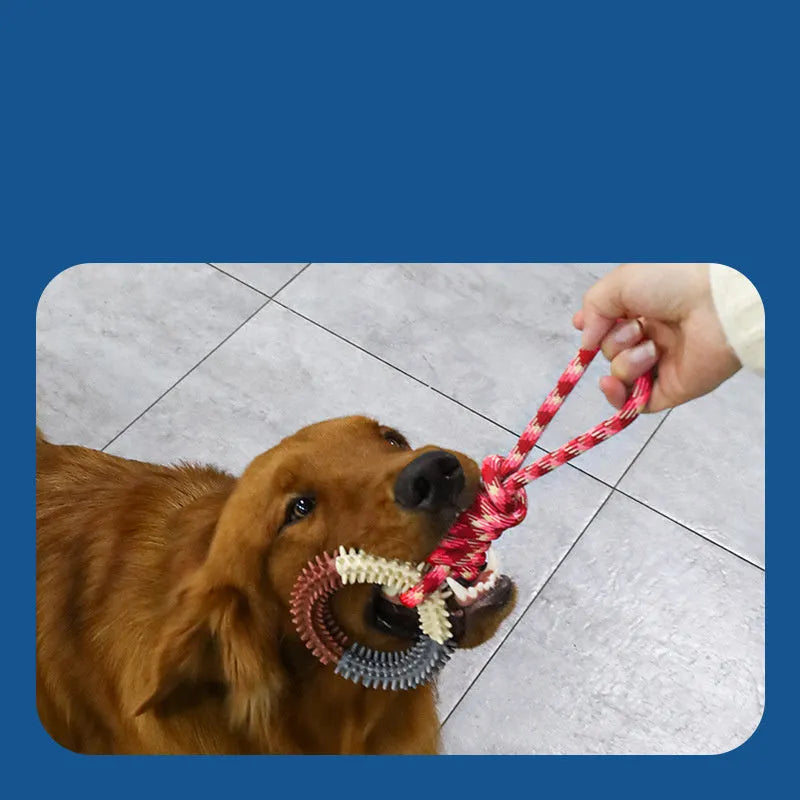 Long blue braided rope dog toy with a central knot, shown on a white background