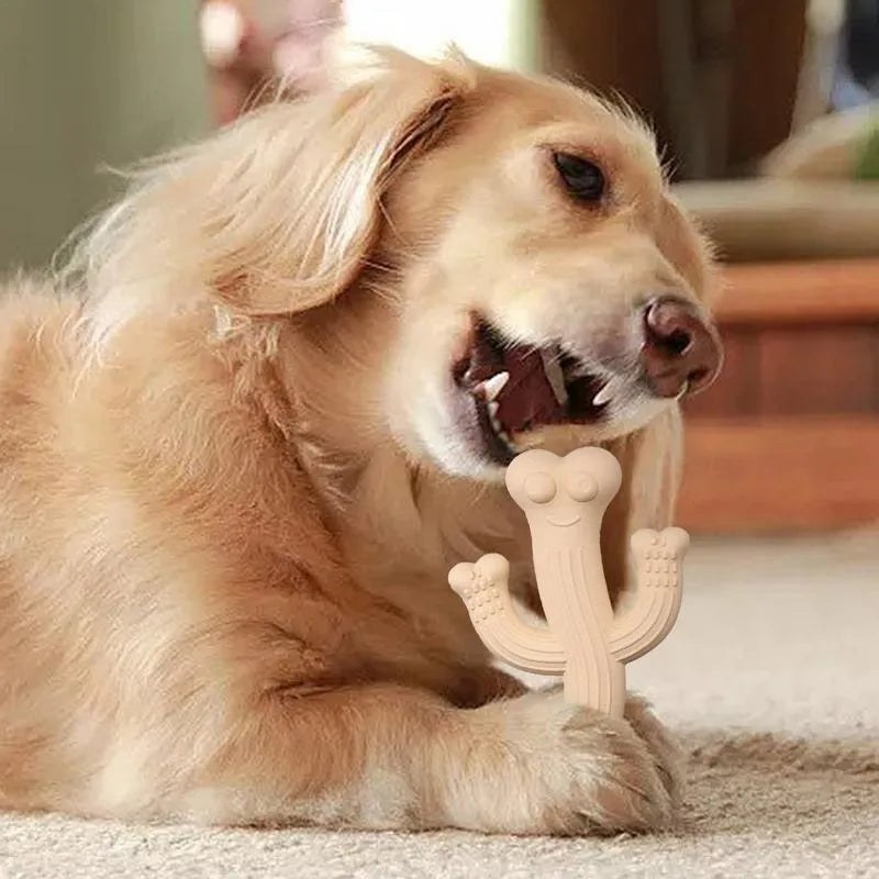 Beige, blue, and purple cactus-shaped dog chew toy made from bamboo fibre and rubber on a white background.