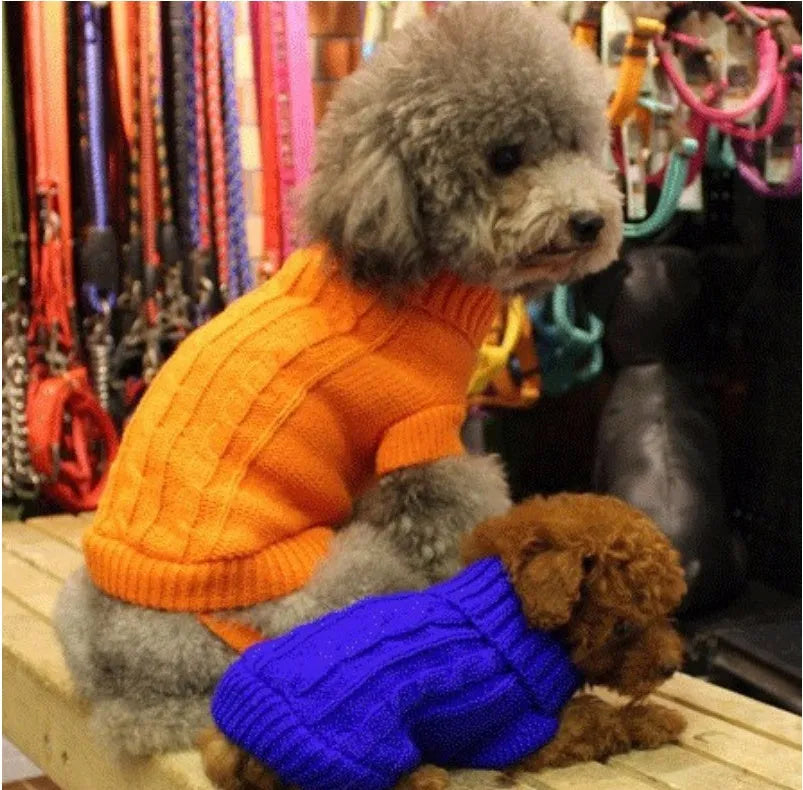 Knitted wool dog sweater with fabric buttons on a white background, shown in blue