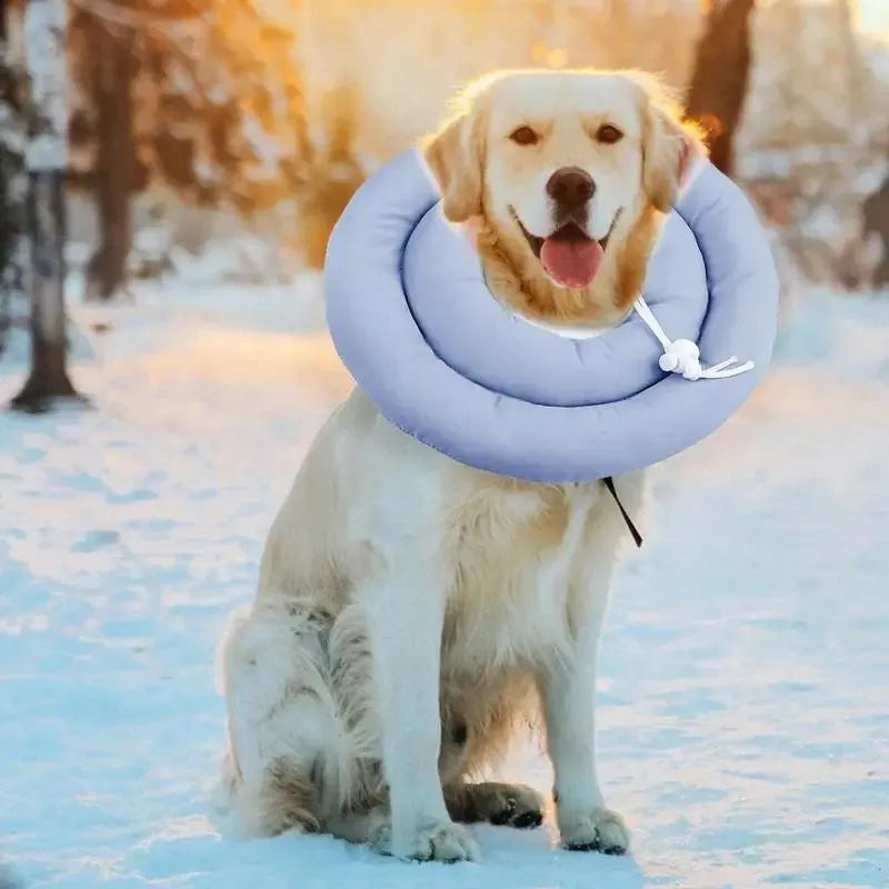 Adjustable waterproof Elizabethan recovery collar for dogs and cats in blue, shown with size chart
