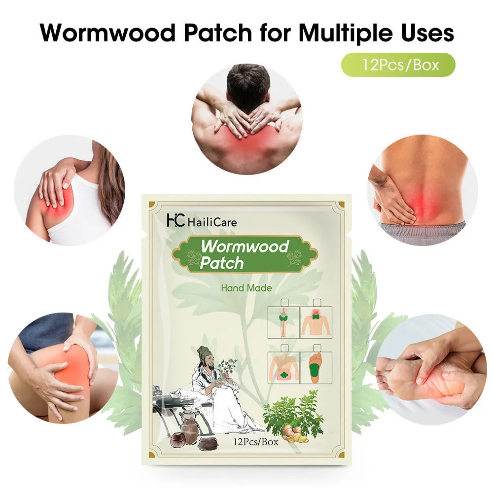 Chinese mugwort herbal patches pack showing knee, lumbar, cervical and foot application types