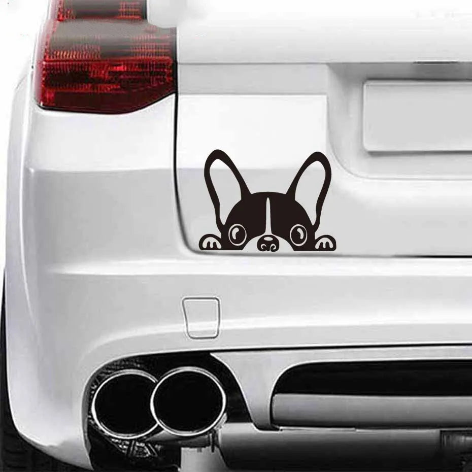 French bulldog reflective car sticker 15cm x 10cm in black on white background