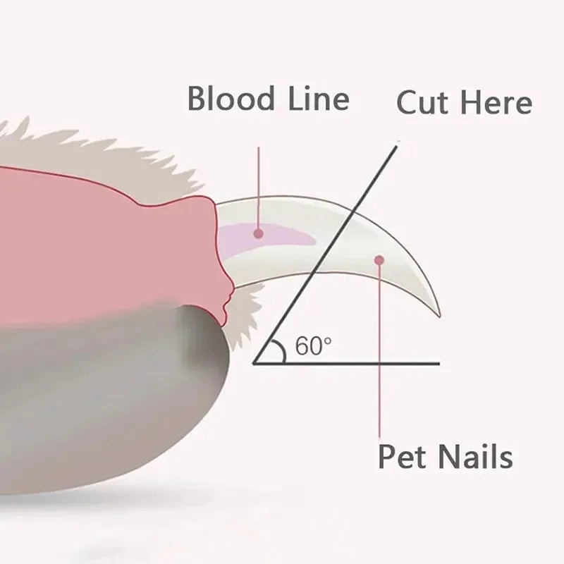 Blue pet nail clippers with LED light on, showing stainless steel blades and ergonomic handle.
