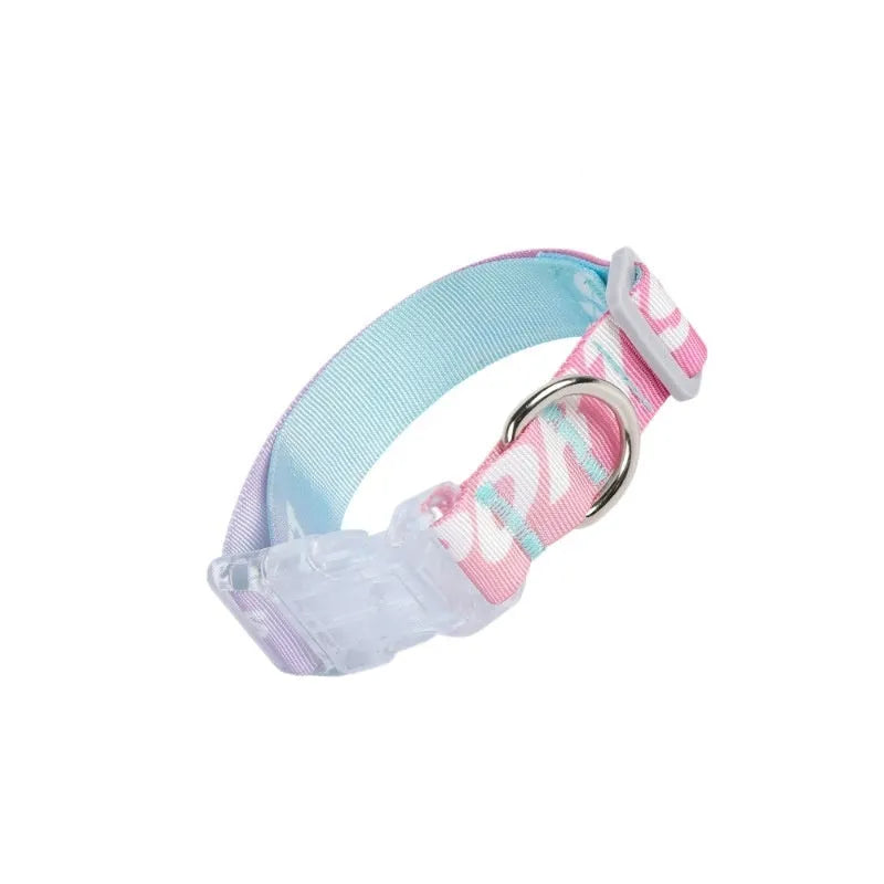 Adjustable nylon dog collar with vibrant cartoon gradient colours and a metal buckle on a green background.