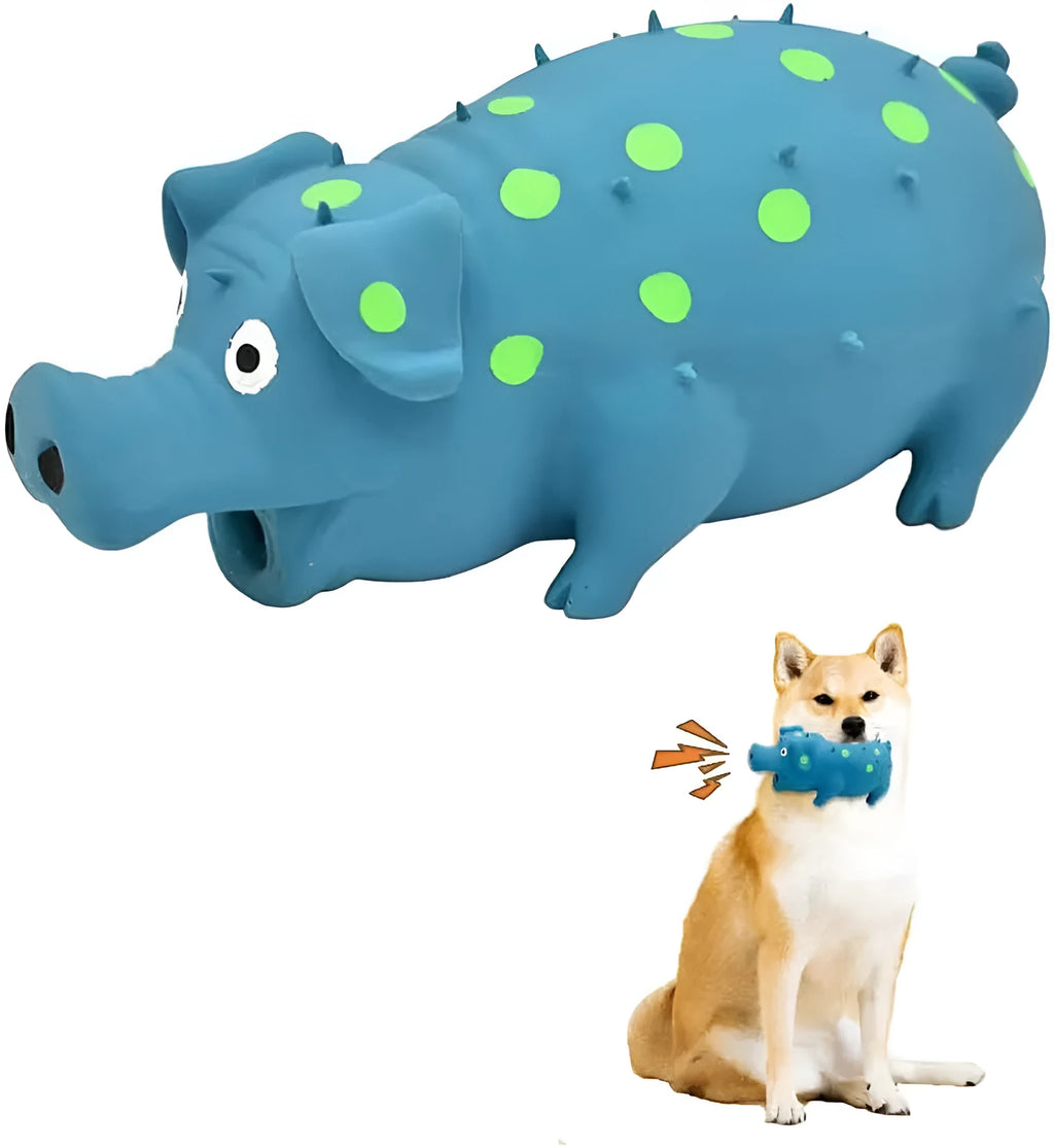 Blue latex squeaky pig dog chew toy with textured surface for teeth cleaning, shown next to tape measure showing 20cm length