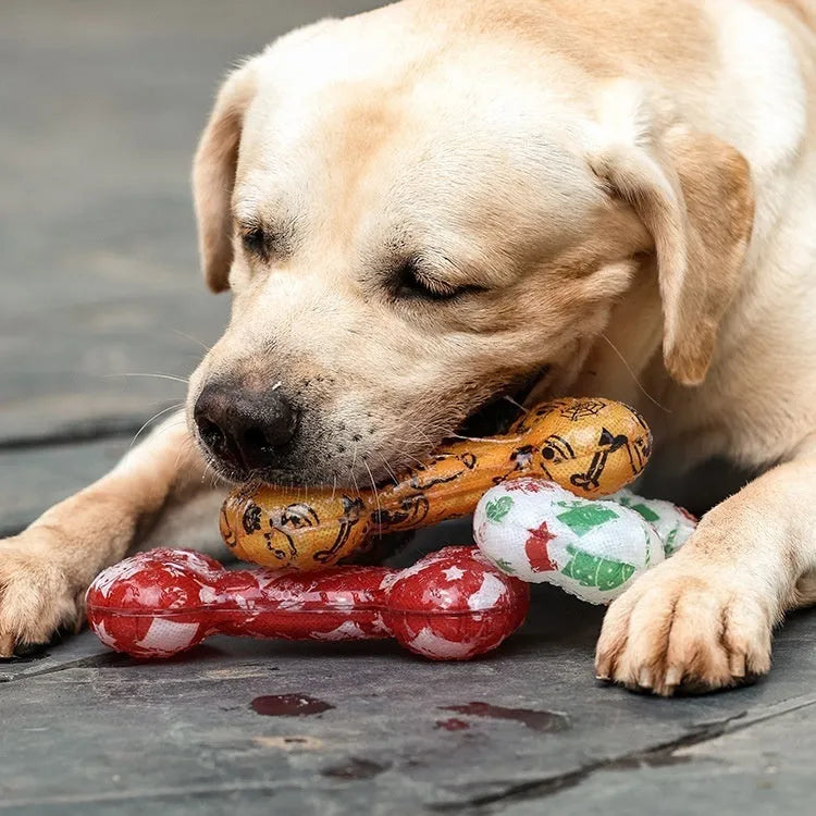 Printed bone-shaped TPR nibbling sound toy for dogs in multiple colour options