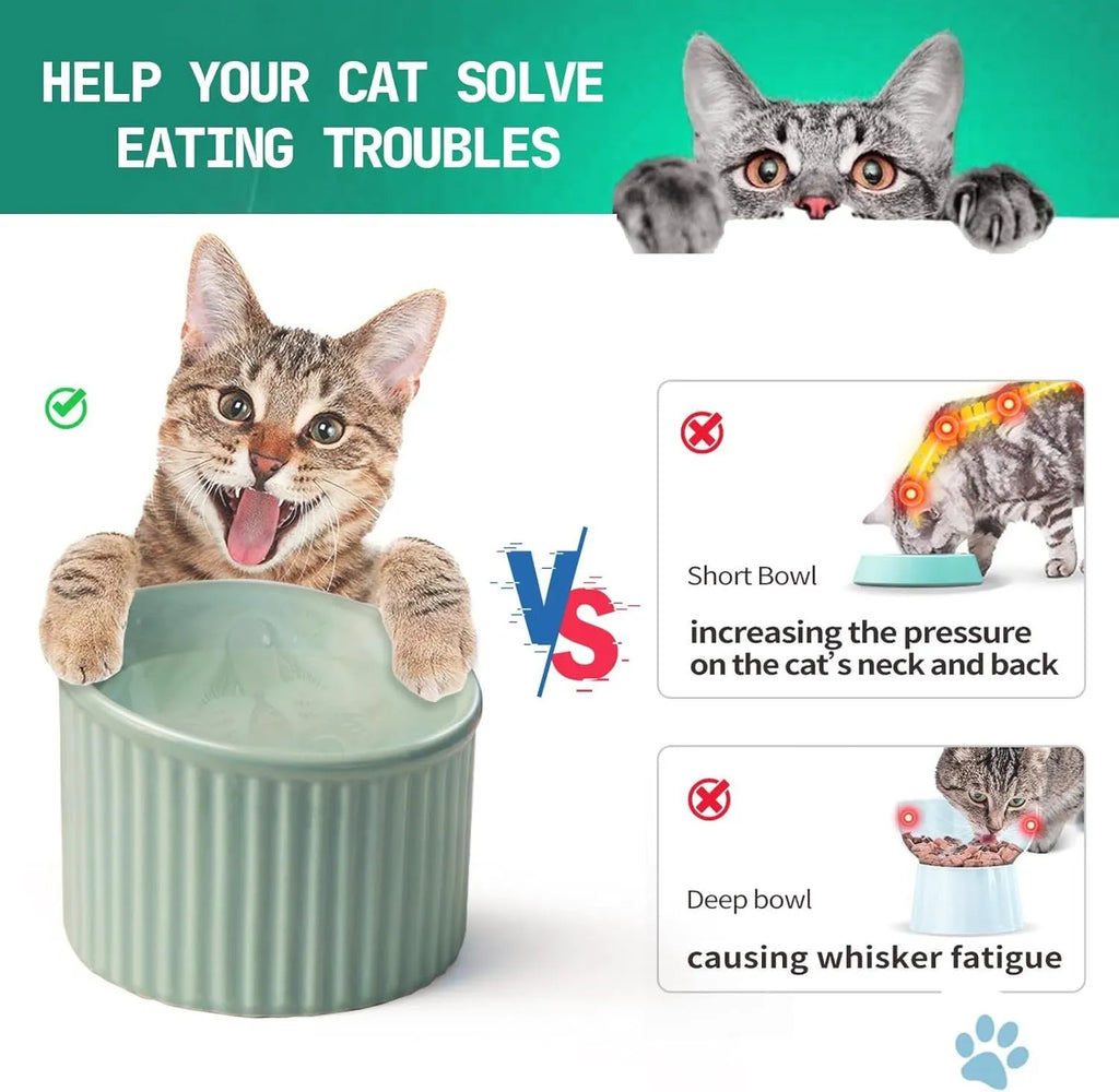 Ceramic elevated cat food bowl in green, showing tilted round dish on a raised stand.