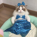 Blue pet mermaid costume with scale pattern fishtail on a small cat