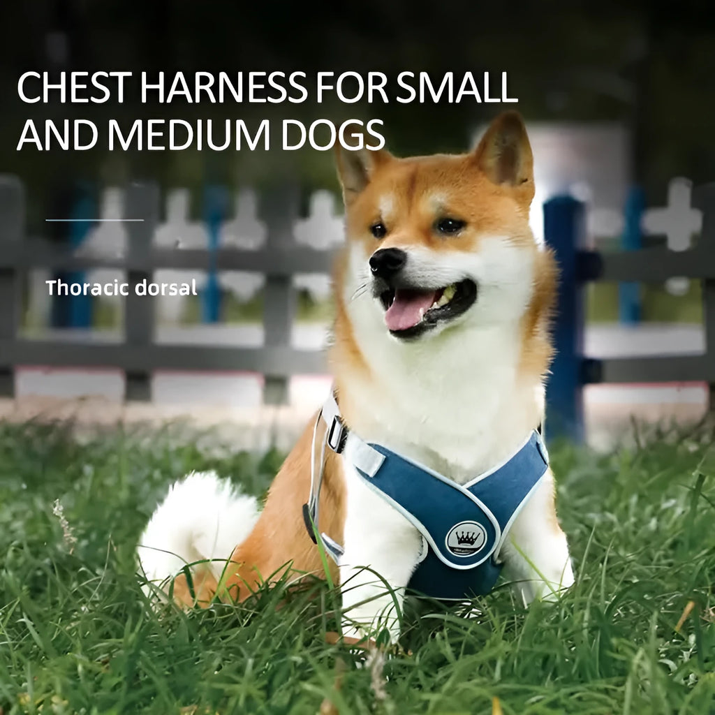 Adjustable mesh dog and cat harness vest in multiple colours with leash