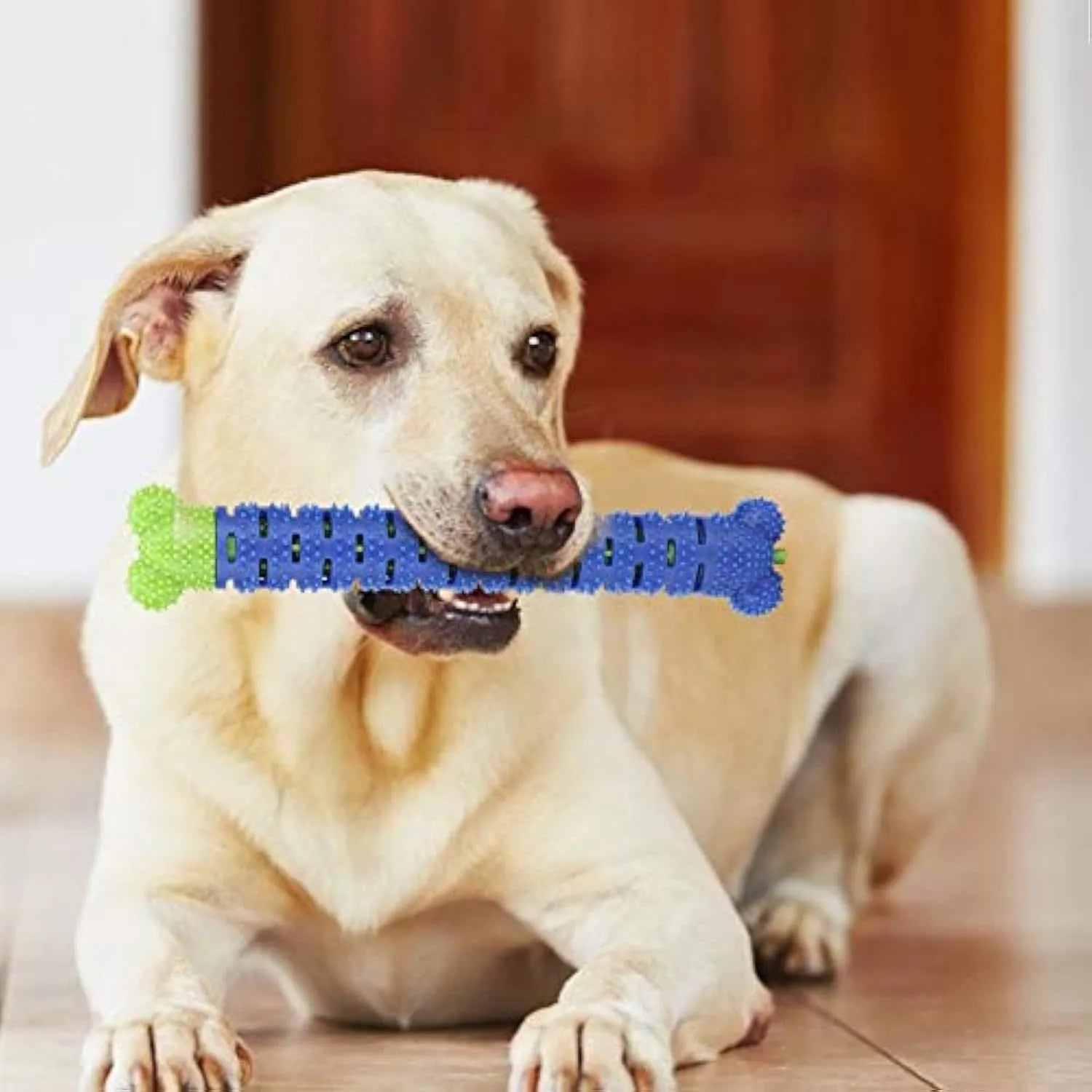 Blue and green silicone dog dental chew toy with serrated brush head and massage nodules.