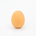 Realistic egg-shaped dog chew toy with textured surface and sound-emitting features for interactive pet play