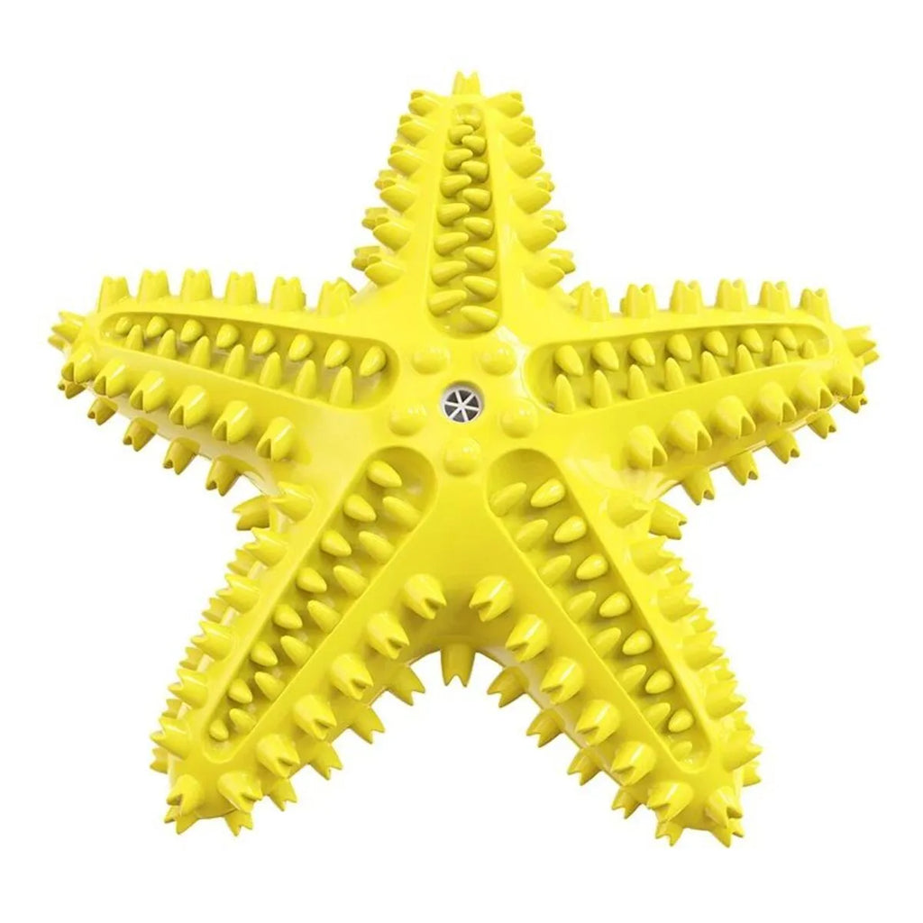 Edible TPR starfish dog toy with squeaker for tooth cleaning in blue, green and yellow colours