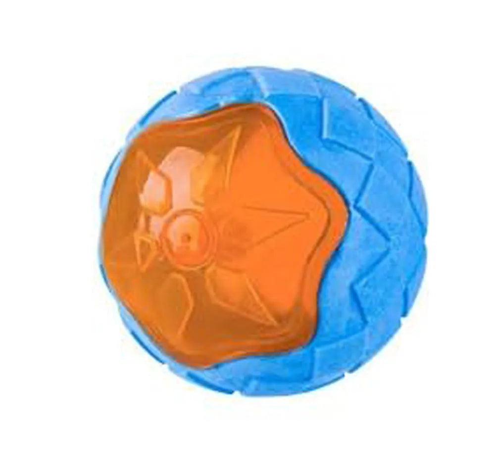 Set of four squeaky dog toys: a blue ball, a red barbell, and two orange tyres, shown on grass.