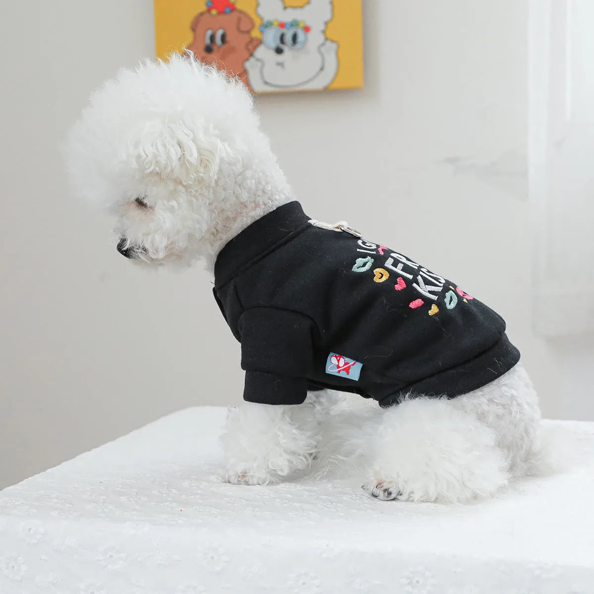 Casual pet sweater with kiss pattern design for dogs and cats in autumn winter wear