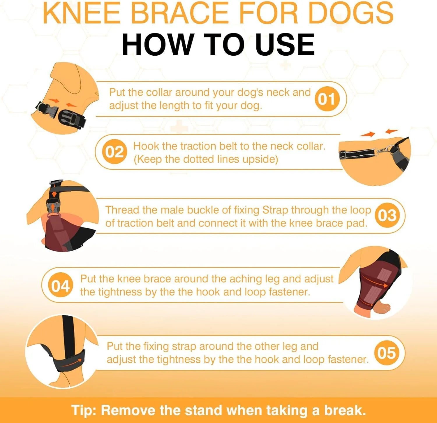 Dog leg protector knee brace with auxiliary belt for joint protection in small medium and large sizes