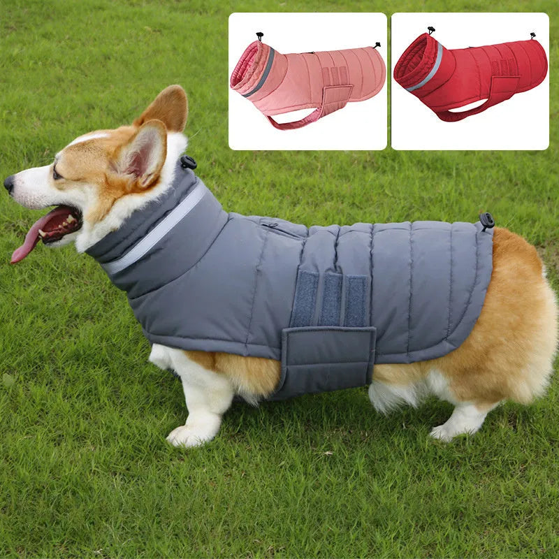 Grey waterproof warm dog trench coat for Corgi, back length 48 cm size L, on white background