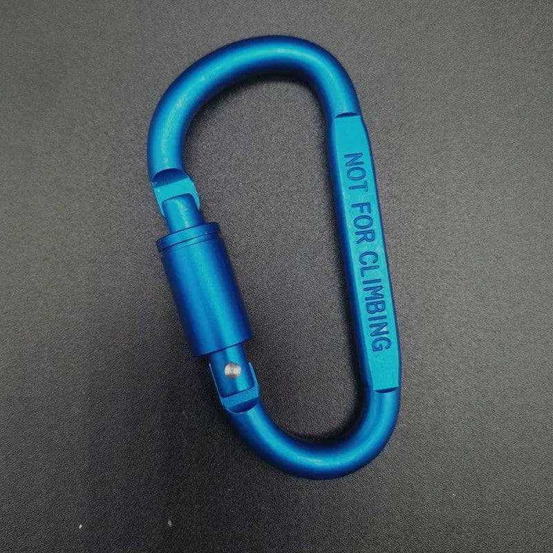 Silver D-shaped aluminium locking carabiner on a grey background.