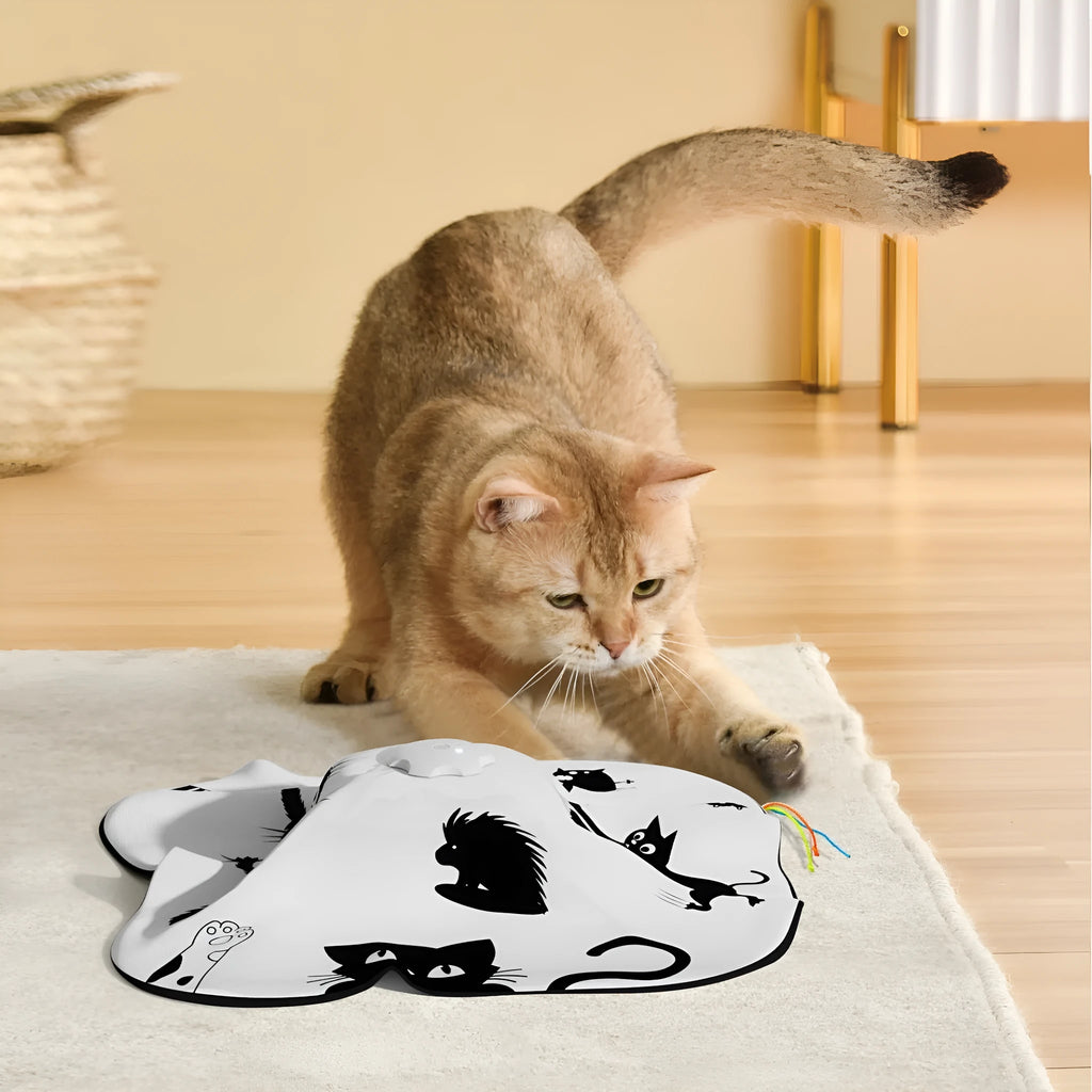 Automatic self-play cat teaser toy with picture colour design on white background