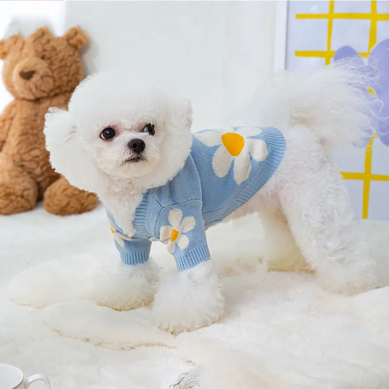 Small dog wearing blue polyester autumn clothing with weight-based sizing from XS to XL