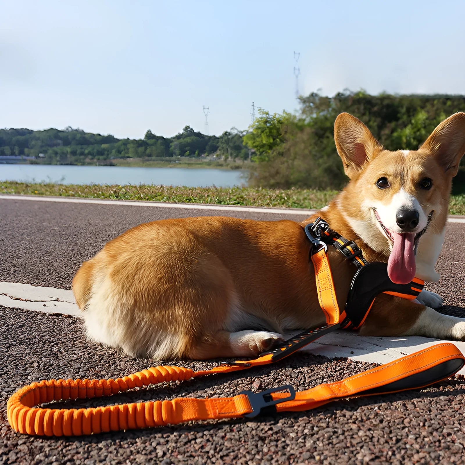 Retractable reflective dog leash with nylon traction belt in black, orange or khaki colour options
