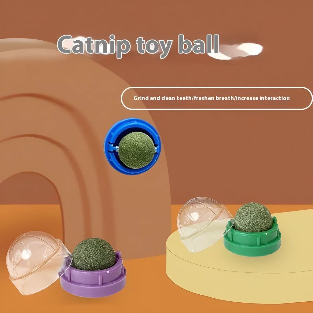 Plastic catnip ball toy in assorted colours for molar teeth cleaning and bite-resistant play.