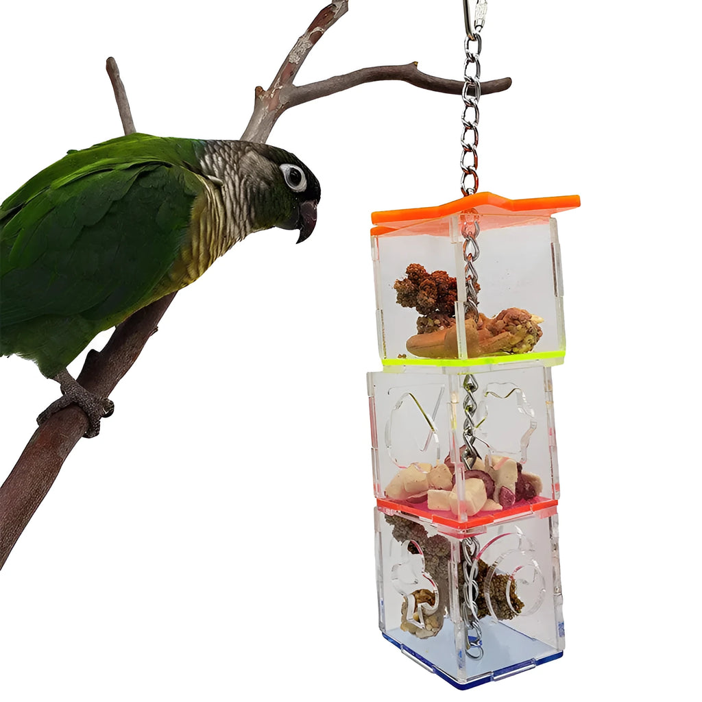 Clear acrylic parrot foraging toy measuring 5x5x32cm for bird food enrichment