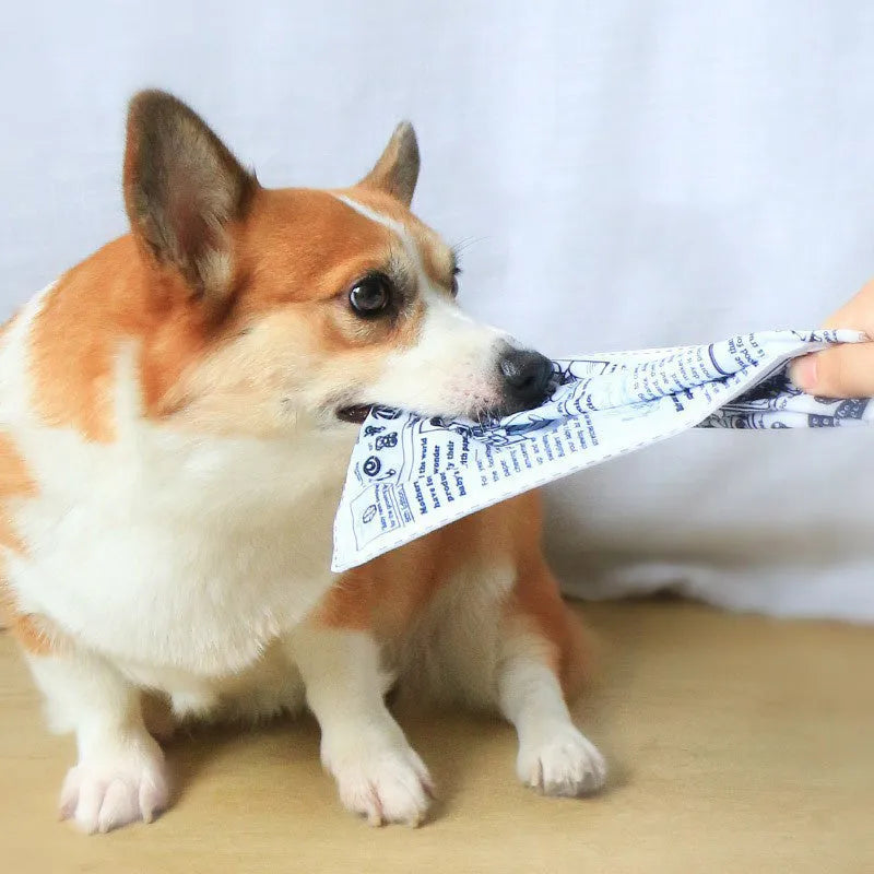 Tearproof dog toy with playing card design featuring simulated newspaper squeak sound mechanism