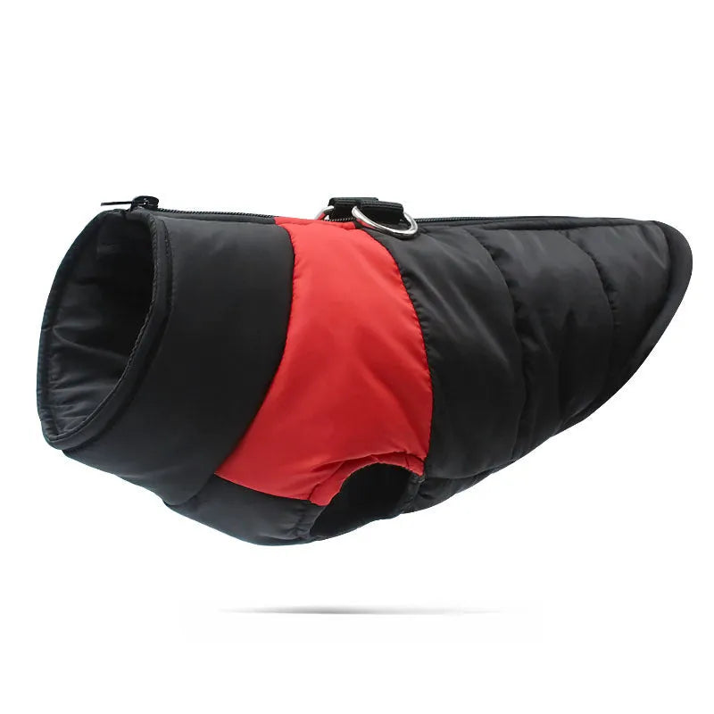 Waterproof padded dog winter coat with front zipper in multiple colours for small to large dogs