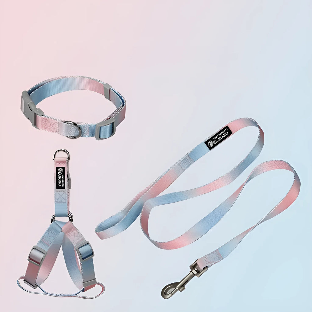 Gradient colour nylon dog leash showing pink-blue pattern with collar attachment