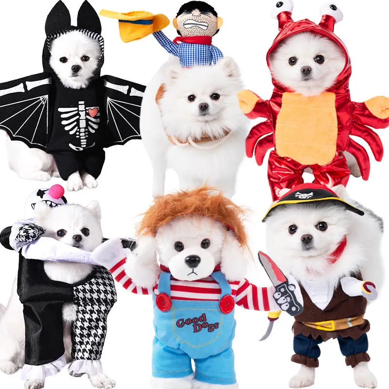 Halloween dog costume with bat wings, devil, pumpkin and scissor hand design options