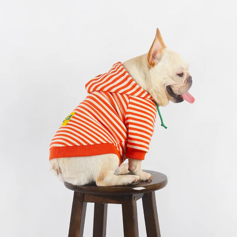 Orange cotton hooded sweater for dogs in Japanese and South Korea style on various breed sizes