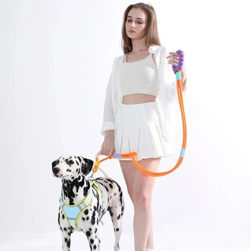 Dog traction leash with foam handle showing 140cm nylon rope in available colours