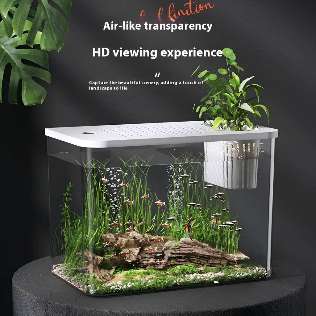 Black Ecological Betta Tank with clear plastic cover on a wooden table.