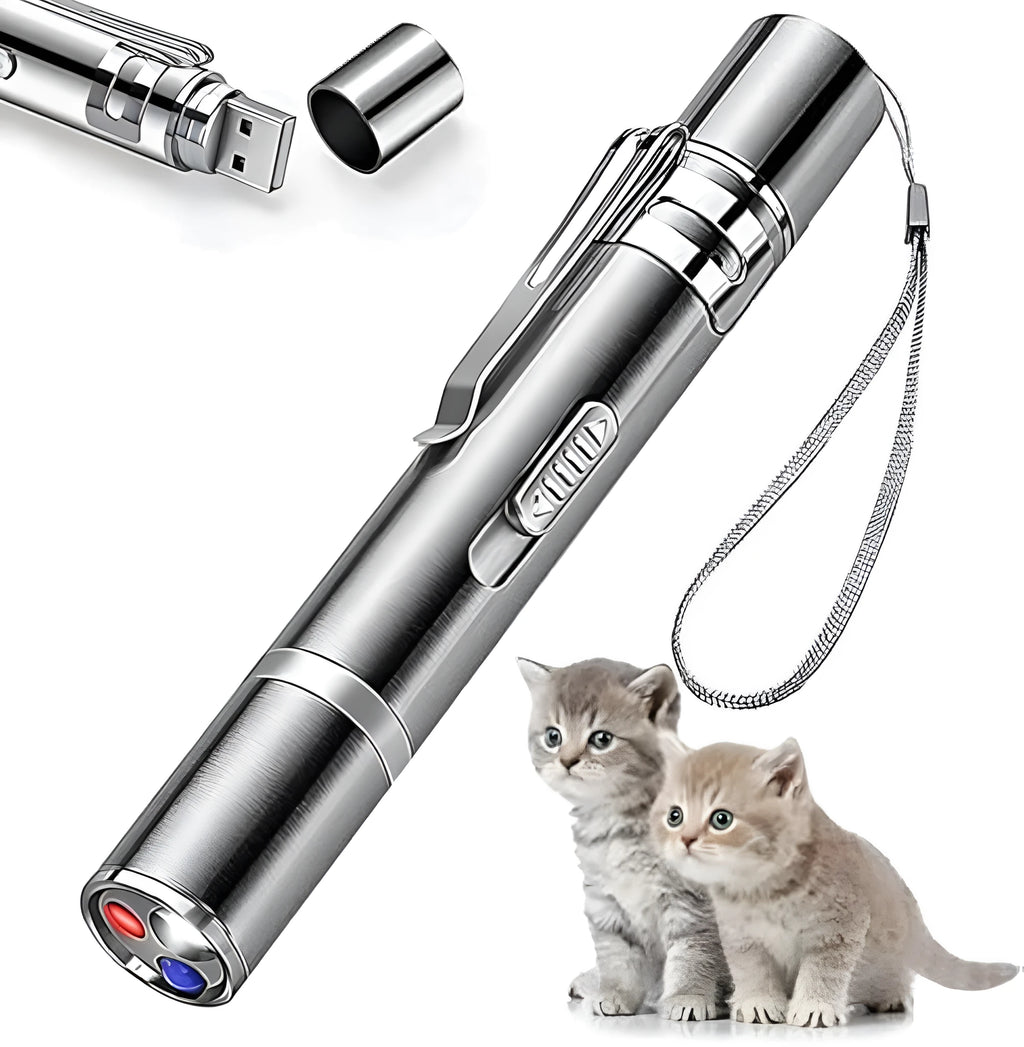 Silver aluminium USB-rechargeable cat laser toy pointer with five pattern options.