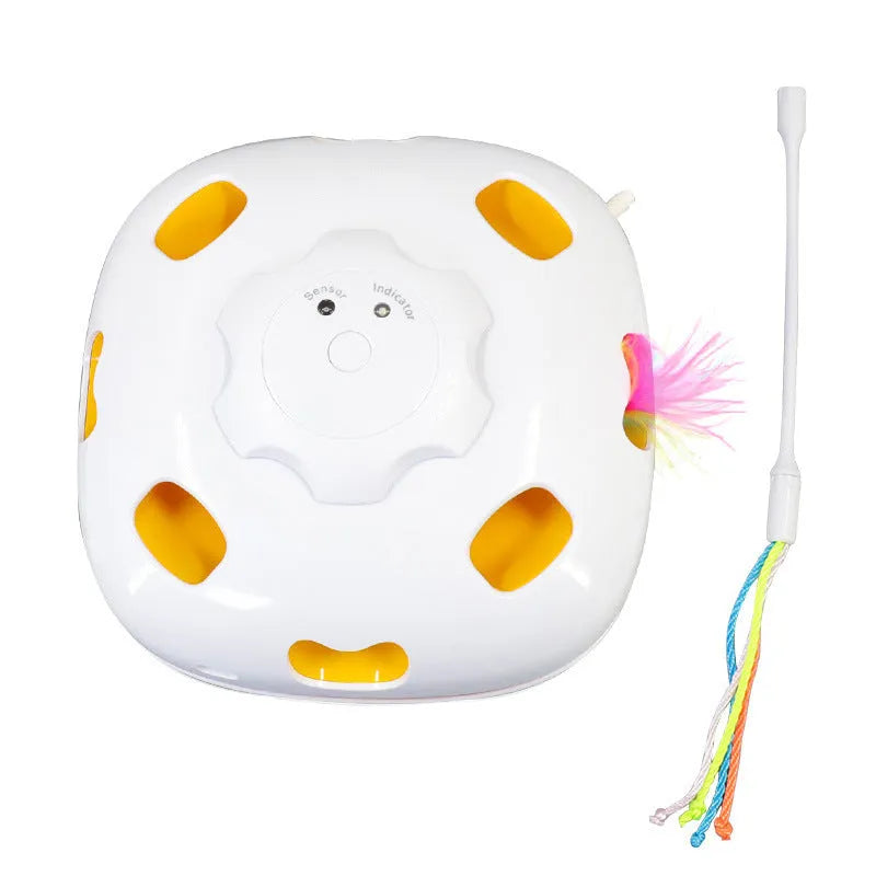 Automatic self-play cat teaser toy with picture colour design on white background