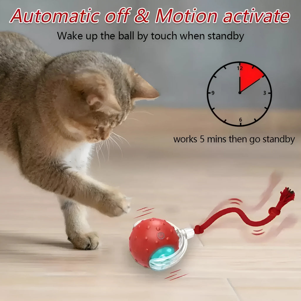Blue and red interactive cat rolling ball toy for indoor feline enrichment