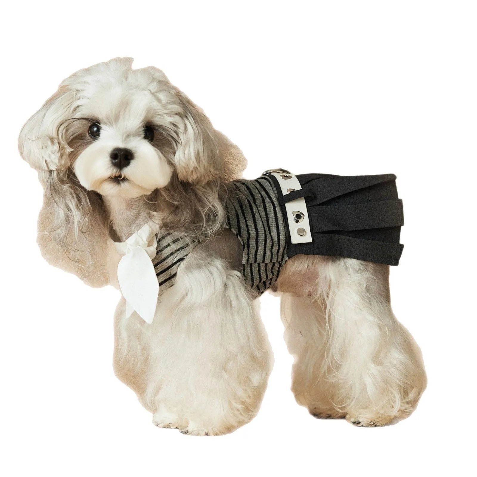 Striped dog dress for female dogs in polyester material, sizes XS to XXL, spring summer casual style