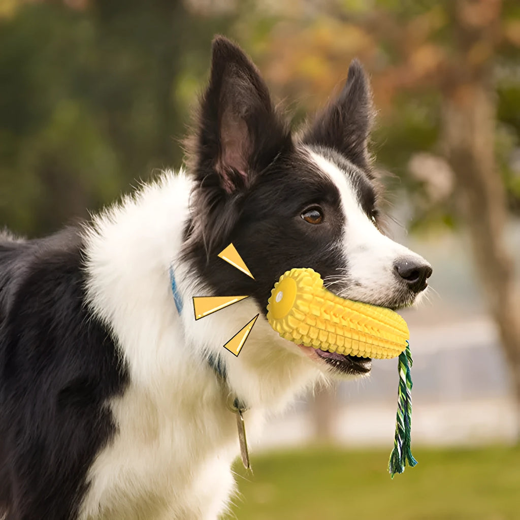 Yellow TPR simulation corn dog dog toy with bite-resistant surface, available with or without squeaker for play.