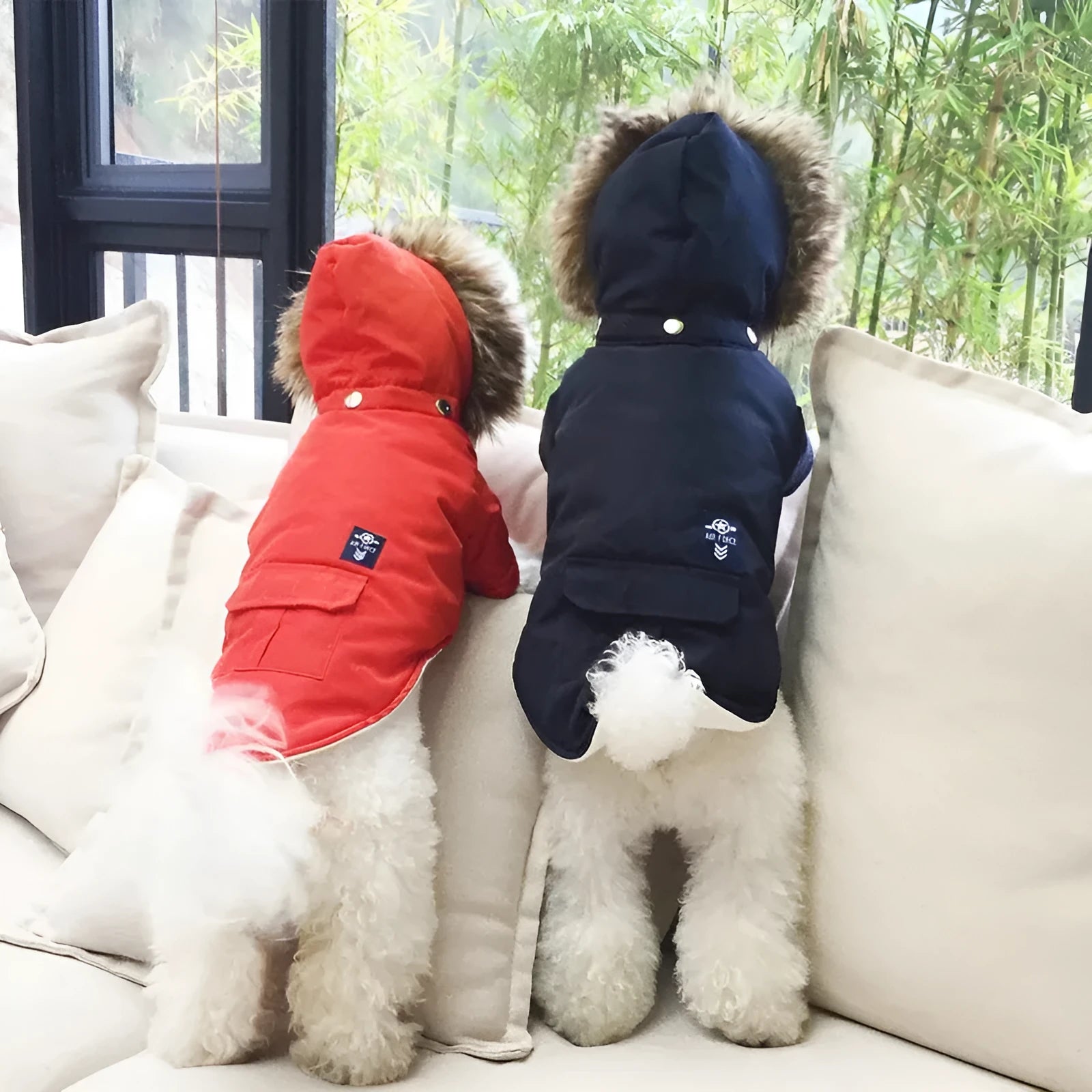 Hooded cotton coat for dogs in beige, shown on a dog with a hood up for coverage