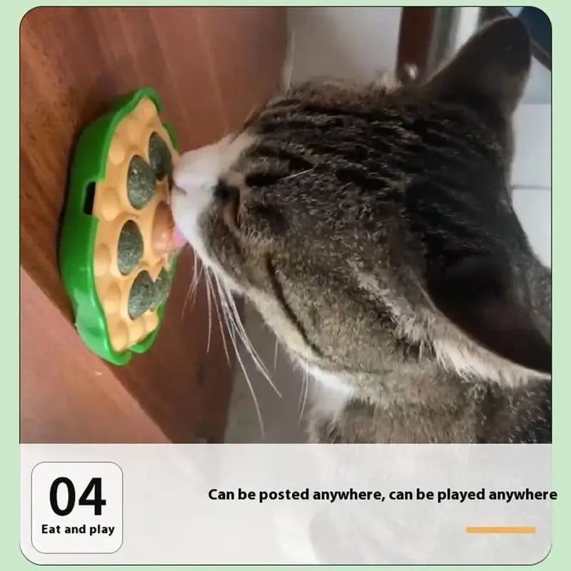 Green wall-sticking catnip ball with edible filling for indoor feline play and dental care