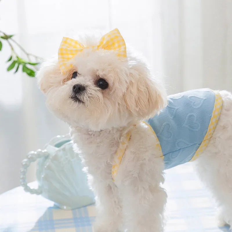 Small dog wearing a blue vest with heart texture and bow suspenders, showing adjustable elastic sides.