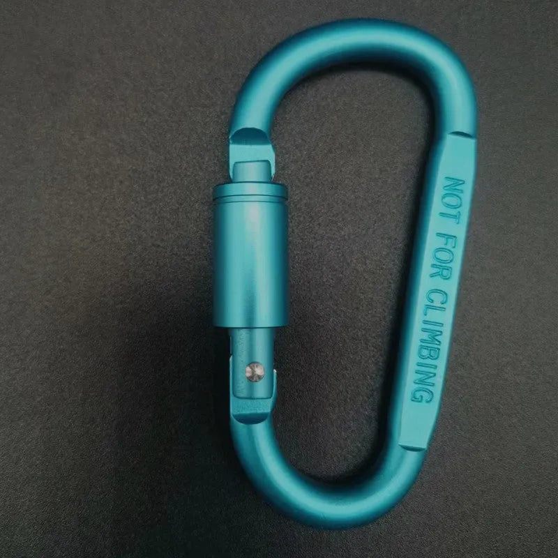 Silver D-shaped aluminium locking carabiner on a grey background.