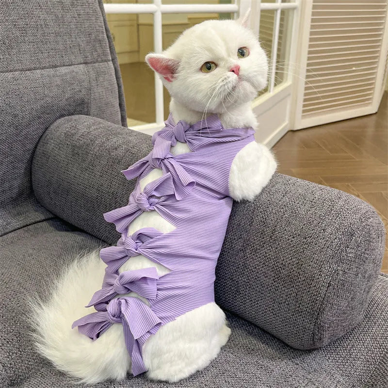 Blue lace-up cat recovery suit on a tabby cat, showing the adjustable back closure and full-body coverage.