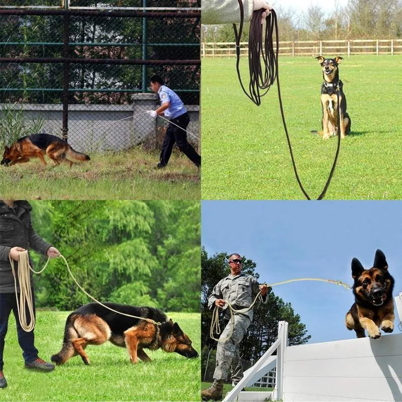 Dog training belt 0.8cm diameter rope lead in beige colour for outdoor recall training