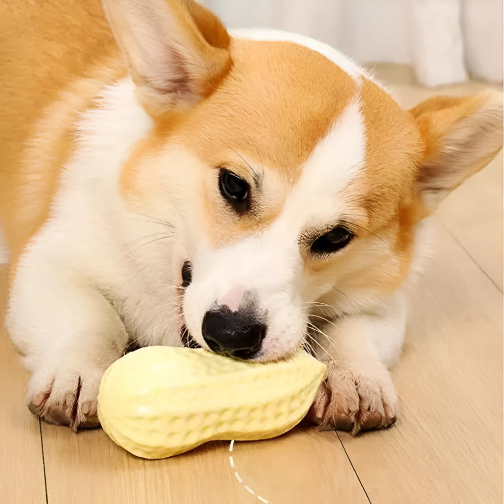 Yellow TPR peanut-shaped dog chew toy with squeaker on a white background