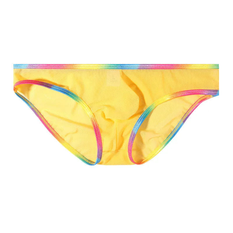 Women's transparent mesh briefs in multiple colours on a white background.