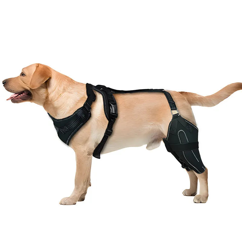 Black dog thigh protective sleeve with adjustable metal support for postoperative recovery