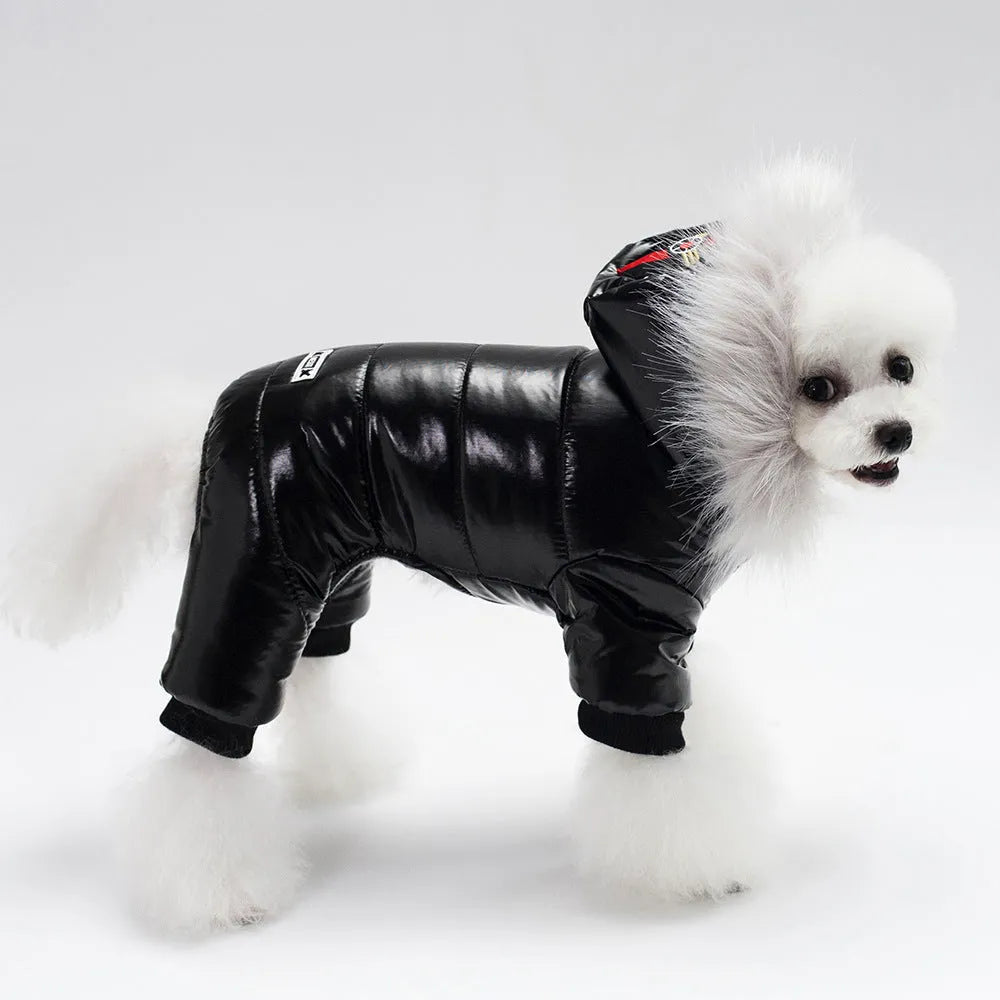 PU leather dog coat for Teddy breeds in red, black, or brown, sizes S to XXL, Europe and America style